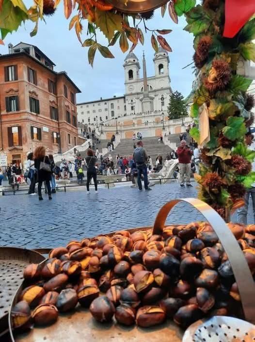 Appartamento La Casa Di Ludovica All'appio Latino Roma
